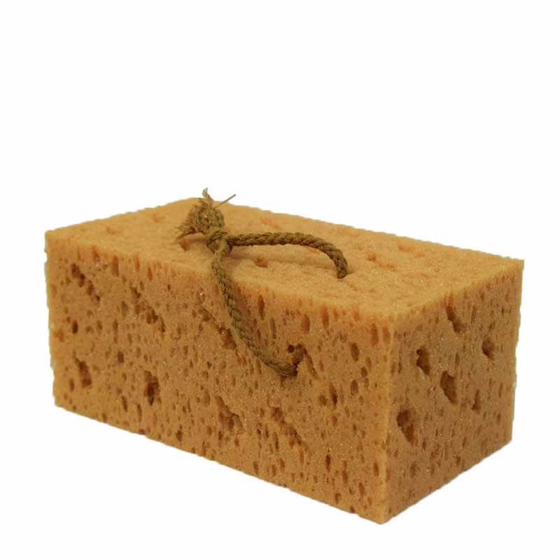 珊瑚清洁海绵擦