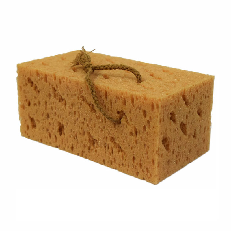 珊瑚清洁海绵擦